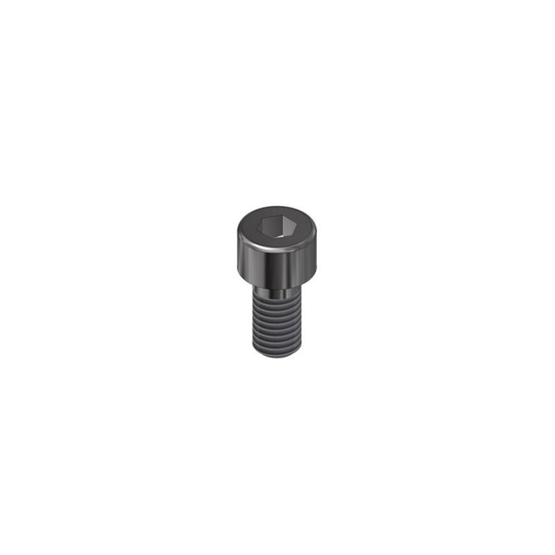 Hexagon socket head cap screw
